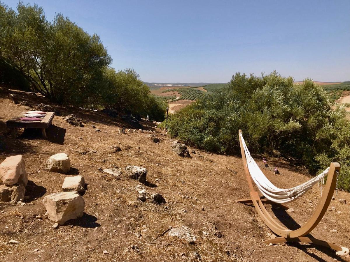 פוואנטה חניל Room In Villa - Beautiful Accommodation At The Heart Of Andalusia מראה חיצוני תמונה