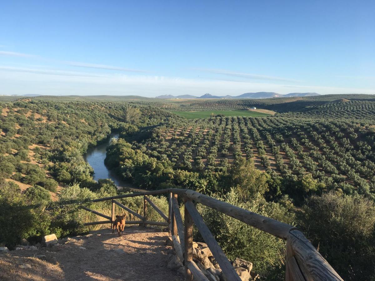 פוואנטה חניל Room In Villa - Beautiful Accommodation At The Heart Of Andalusia מראה חיצוני תמונה